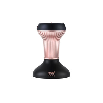 Hair Dryer with Diffuser ONIQ