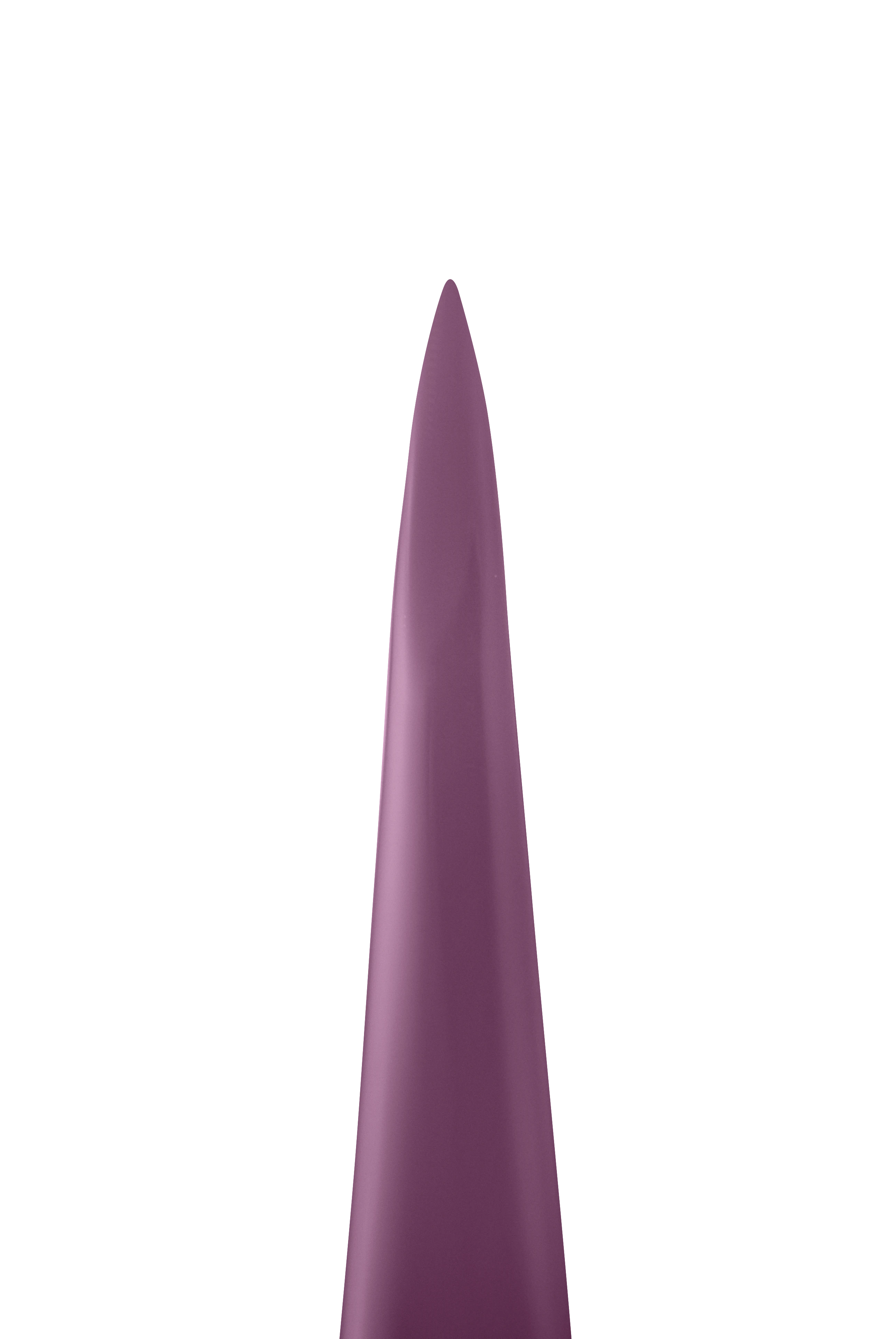 Eyebrow tweezers EXPERT [TE-11/5v]