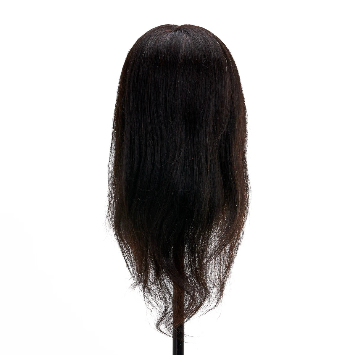 Head for hairdressers training Gabbiano WZ1 natural cheveux, color 1H, length 16"
