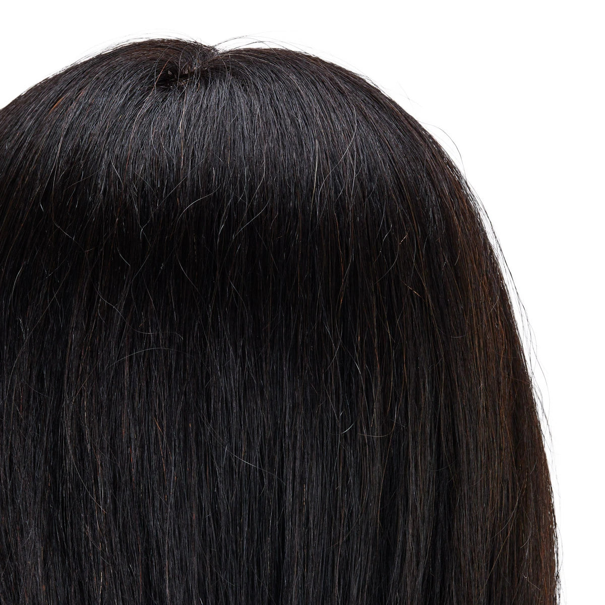 Head for hairdressers training Gabbiano WZ1 natural cheveux, color 1H, length 20"