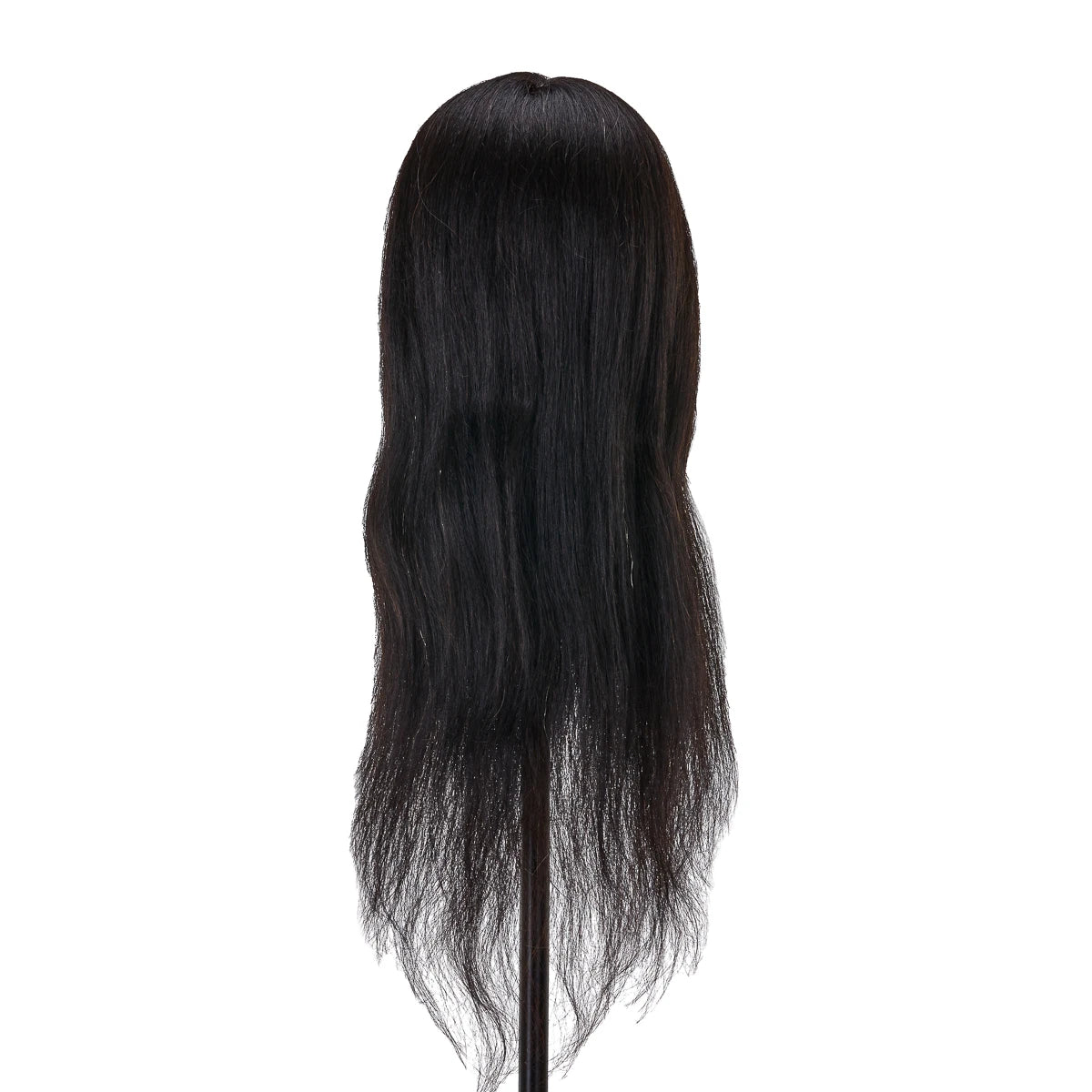 Head for hairdressers training Gabbiano WZ1 natural cheveux, color 1H, length 20"