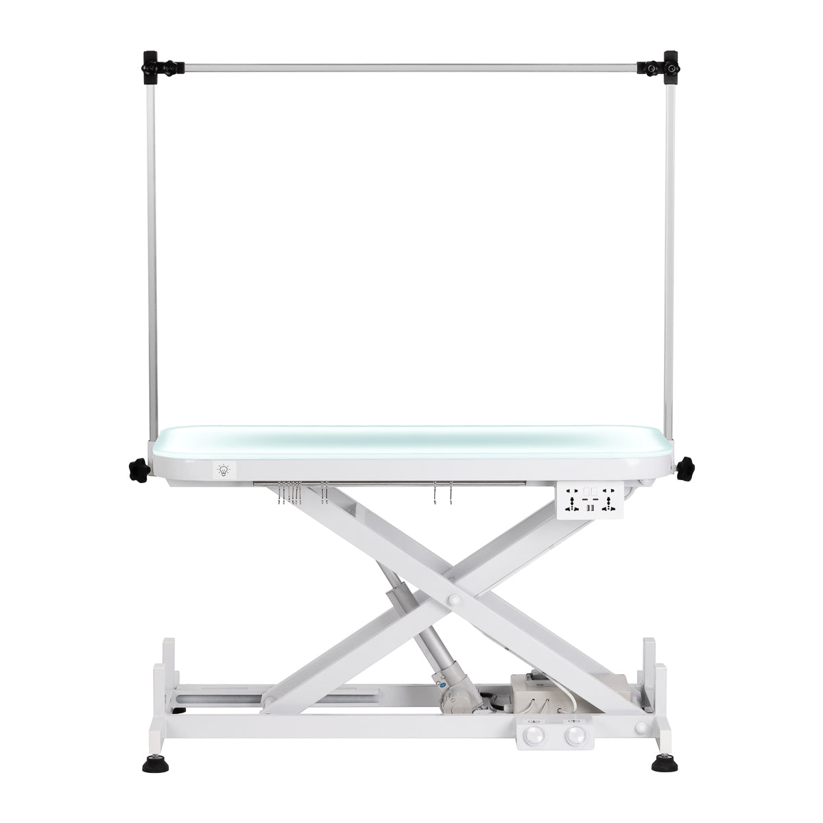 Electric grooming table PAW 3 with lighting, white