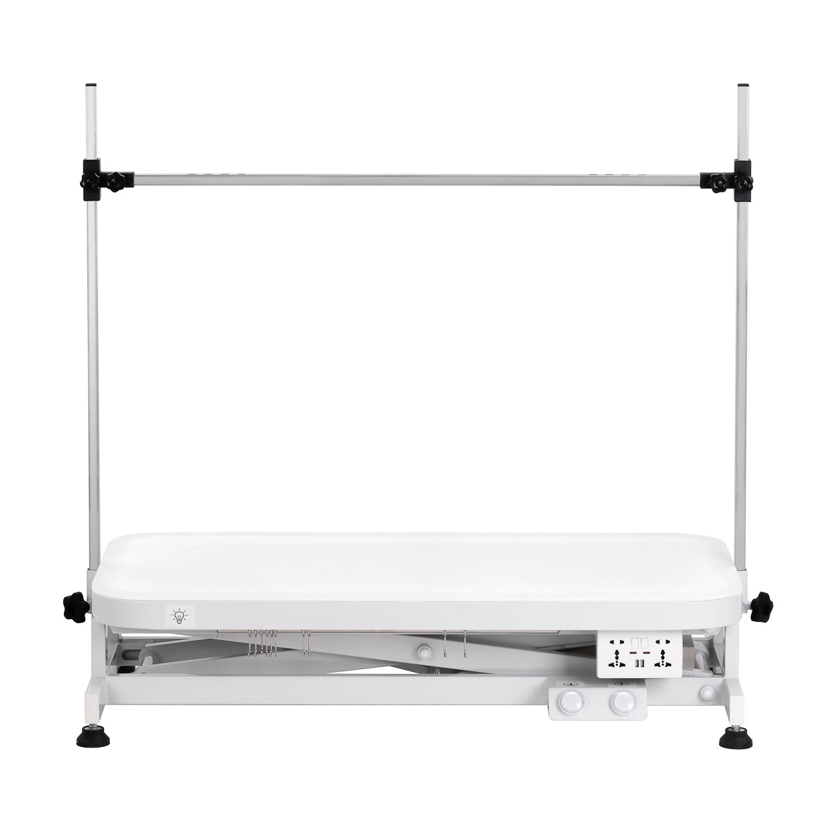 Electric grooming table PAW 3 with lighting, white
