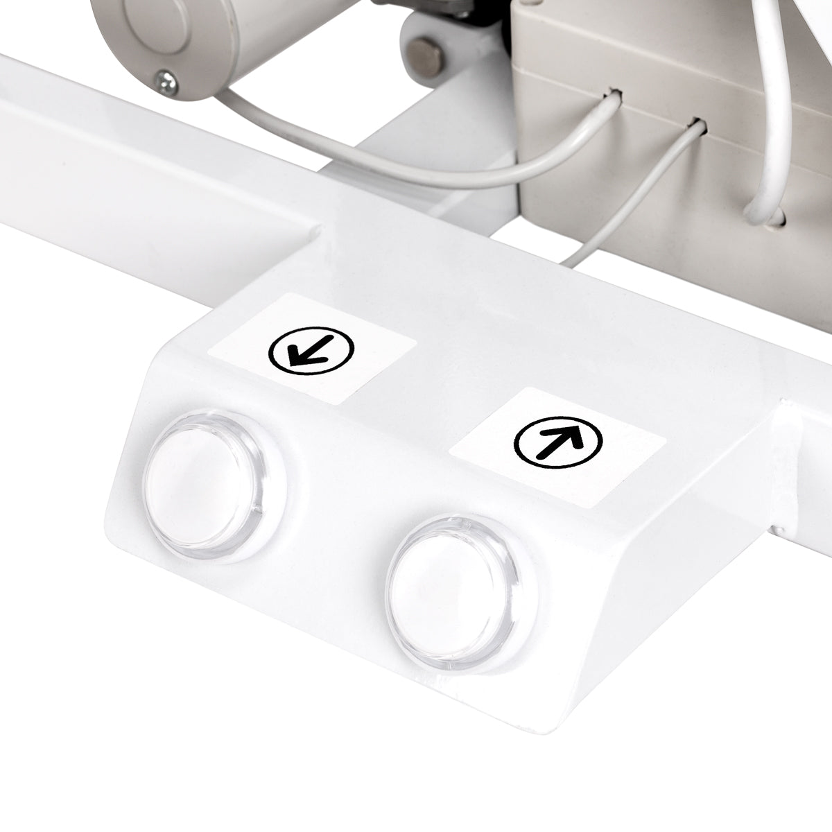 Electric grooming table PAW 3 with lighting, white