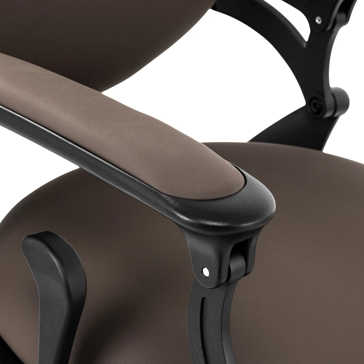 Barber chair Gabbiano Niccolo brown buttonless