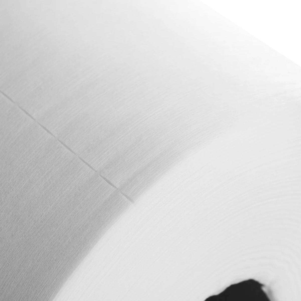 Disposable non-woven towels, roll 30 cm x 120 m, 100% viscose