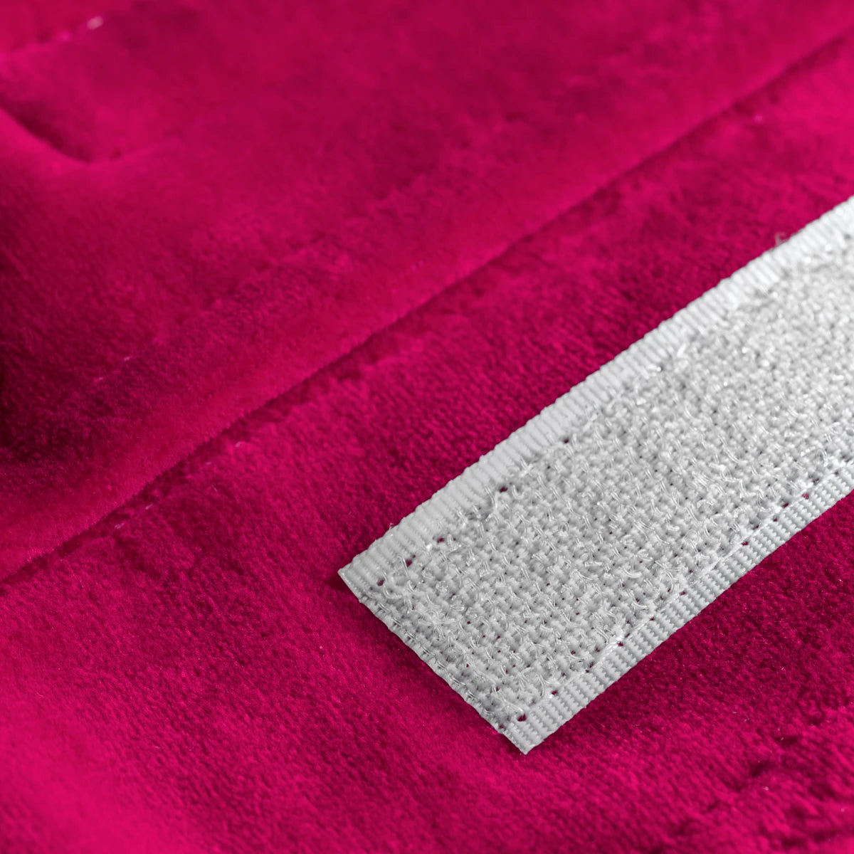 Fuchsia Terry Band