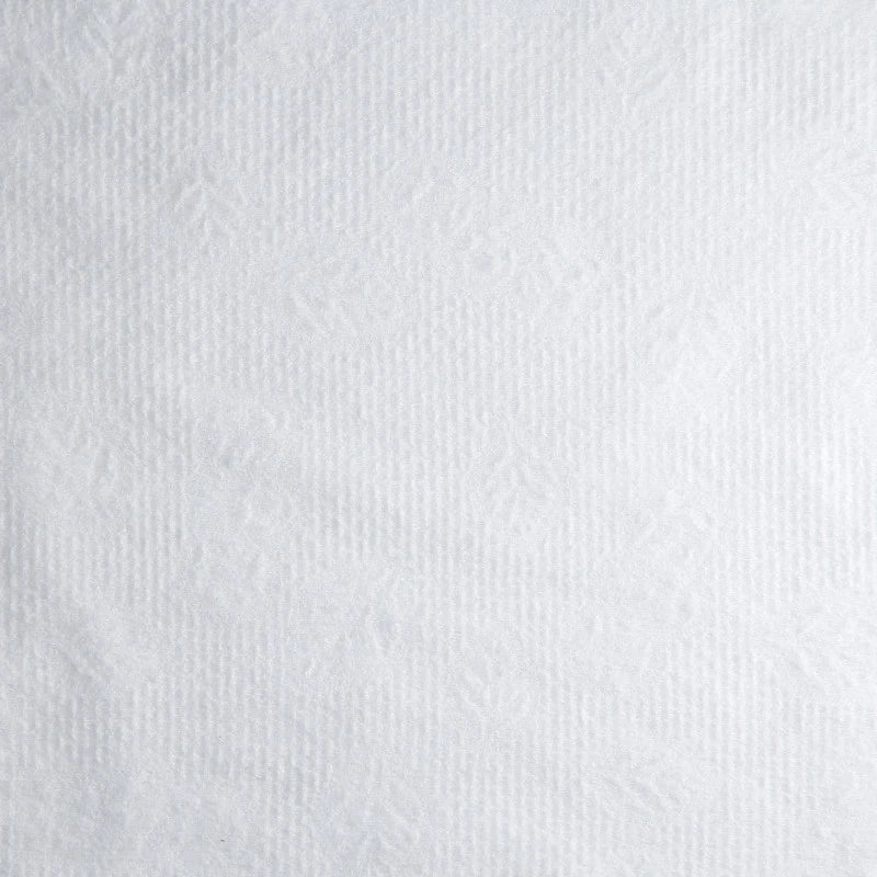 LUSSONI BIO-ECO Nonwoven Towels, 70 cm x 50 cm, 100 pcs