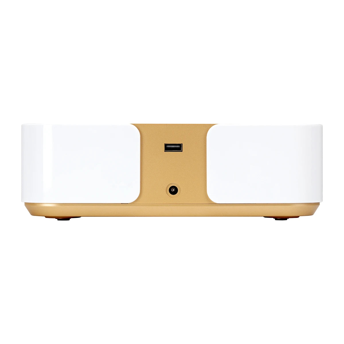 Dust absorber Momo P30 60W white gold