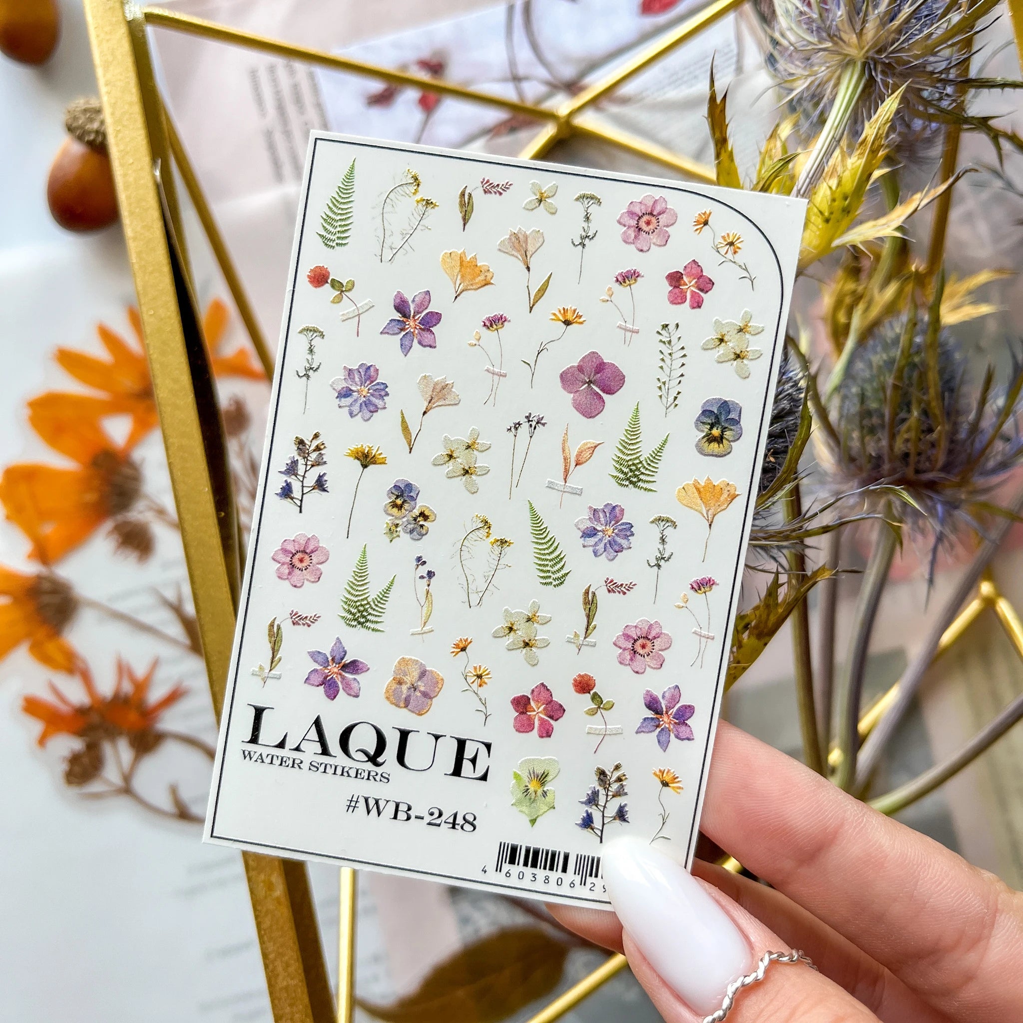 Laque Nail art sliders #WB-248