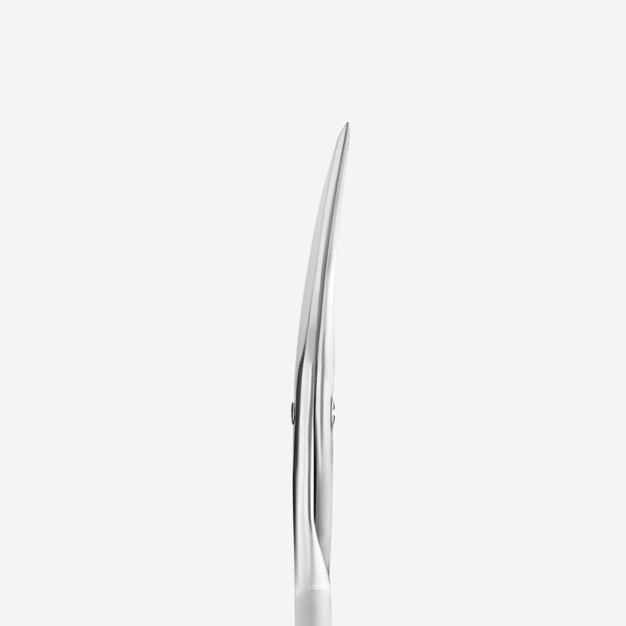 STALEKS BEAUTY u0026 CARE 10 TYPE 2 Matte nail scissors