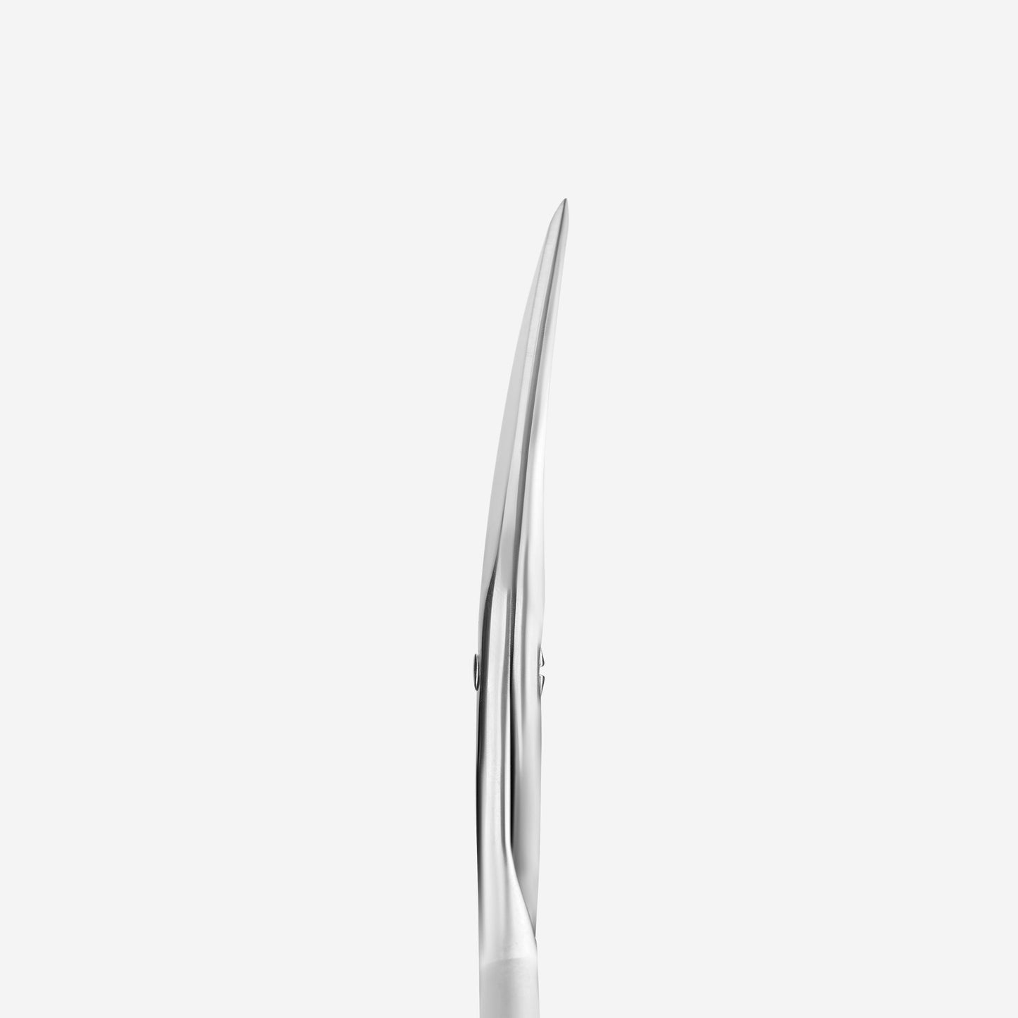 STALEKS BEAUTY u0026 CARE 10 TYPE 2 Matte nail scissors