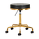 Master stool h4 gold black