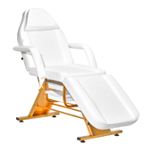 Kosmetologinė lova-kėdė SILLON 202 gold pro, baltos spalvos